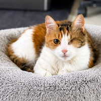 Photo of Mimi