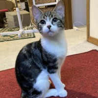 Photo of Mia