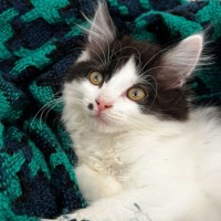 Photo of Pearl And Marble