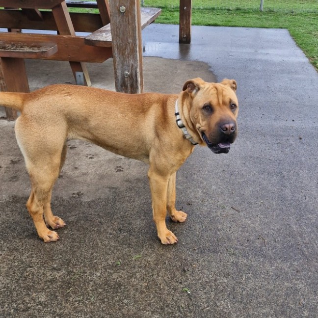 Photo of Wilma