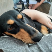 Photo of Bill And Ted