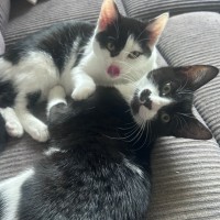 Photo of Parkway 💕