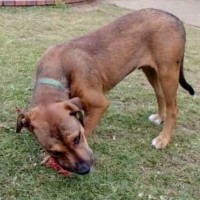 Photo of Barnie   Swarley 