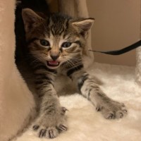Photo of Kevin