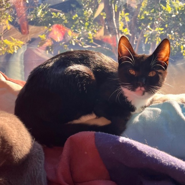 Photo of Dorothy