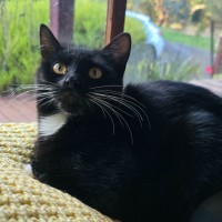 Photo of Nevie