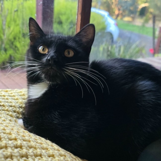 Photo of Nevie