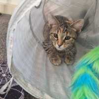 Photo of Maisy