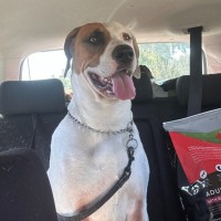 Photo of Dakota
