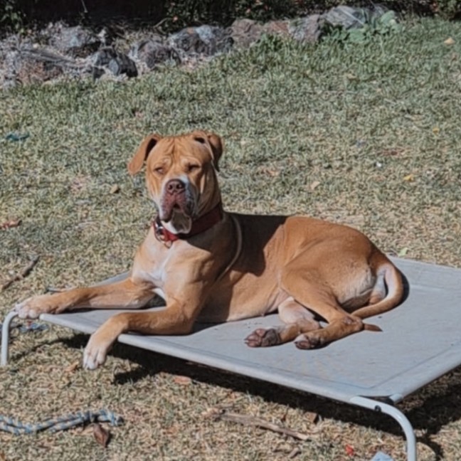Photo of Elsie