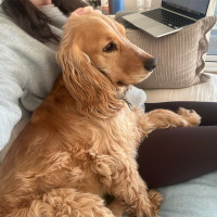 Photo of 💙 Ralph 💙