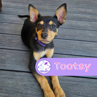 Photo of Tootsy