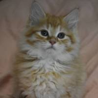Photo of Elsa