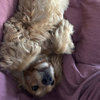 Photo of 💙 Ralph 💙