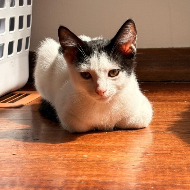 Photo of Emmy