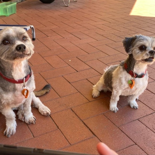 Photo of Belle And Hugo 