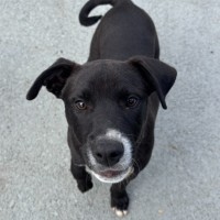 Photo of Pupeye