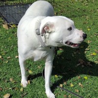 Photo of Maverick