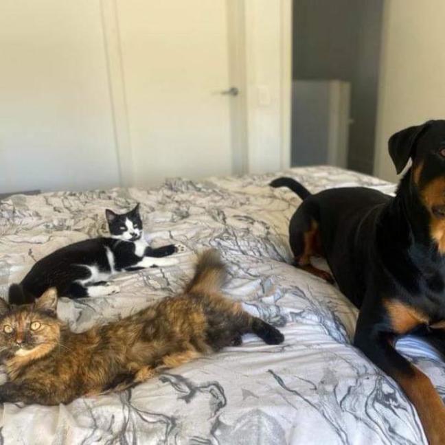 Photo of Theo And Kleo