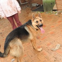 Photo of Odin