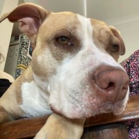 Photo of Marley