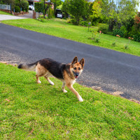 Photo of Maya