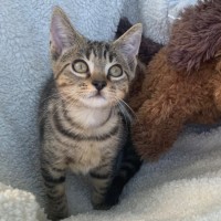 Photo of Isla💕💕💕