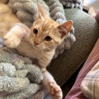 Photo of Monty