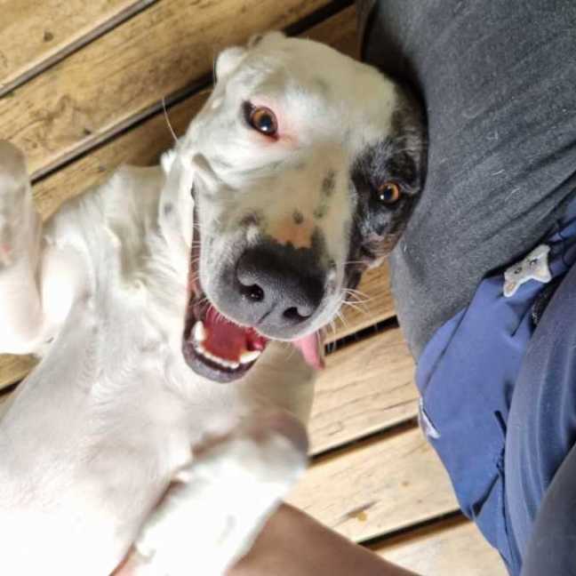 Photo of Nerida (Aka Neri)