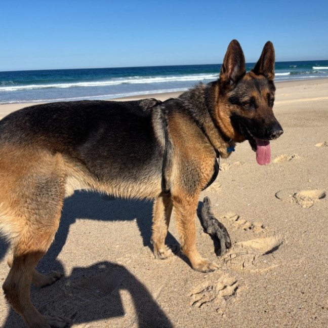 Photo of Max