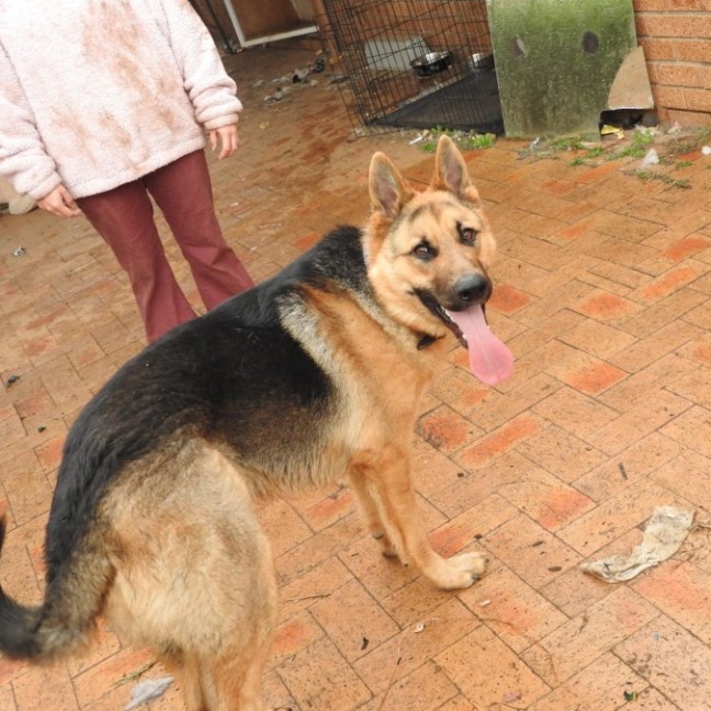 Photo of Odin