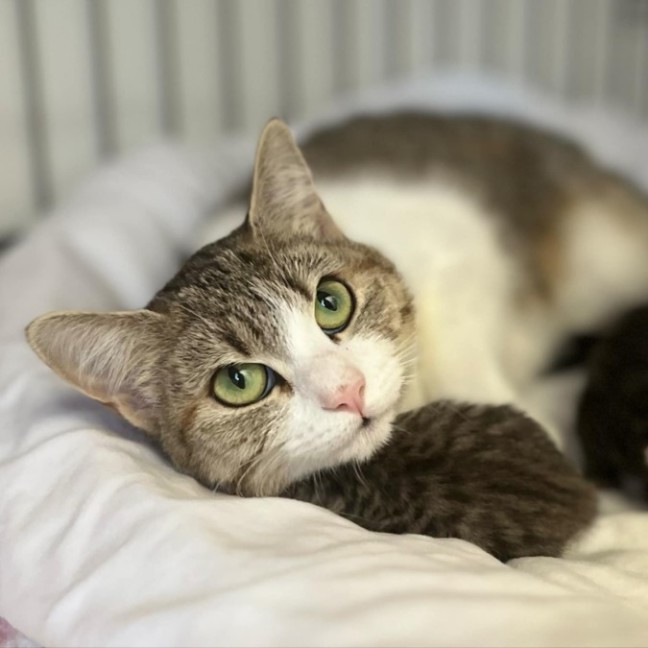 Photo of 🌷 Mia 🌷