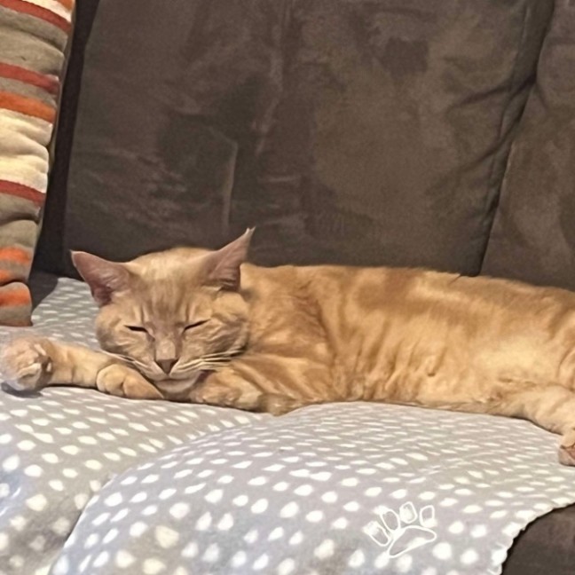 Photo of Sam