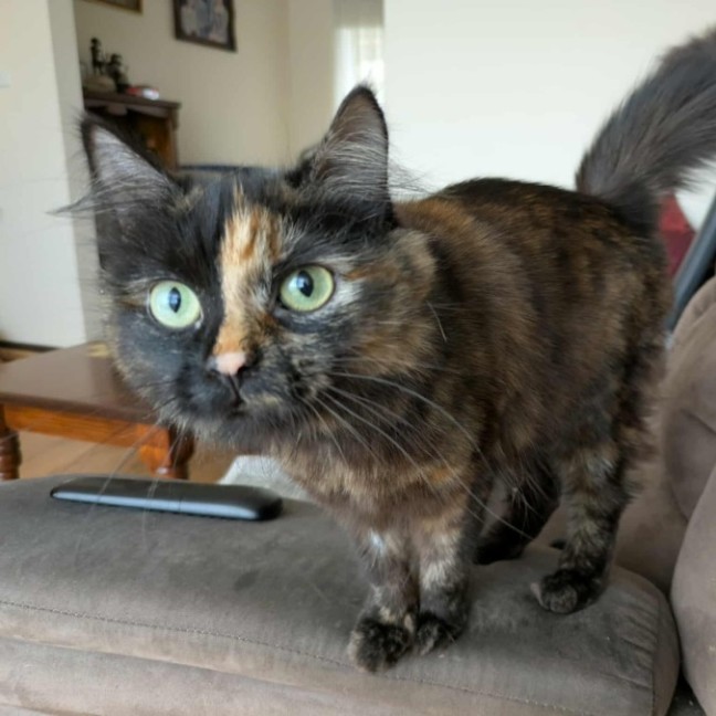 Photo of Daisy