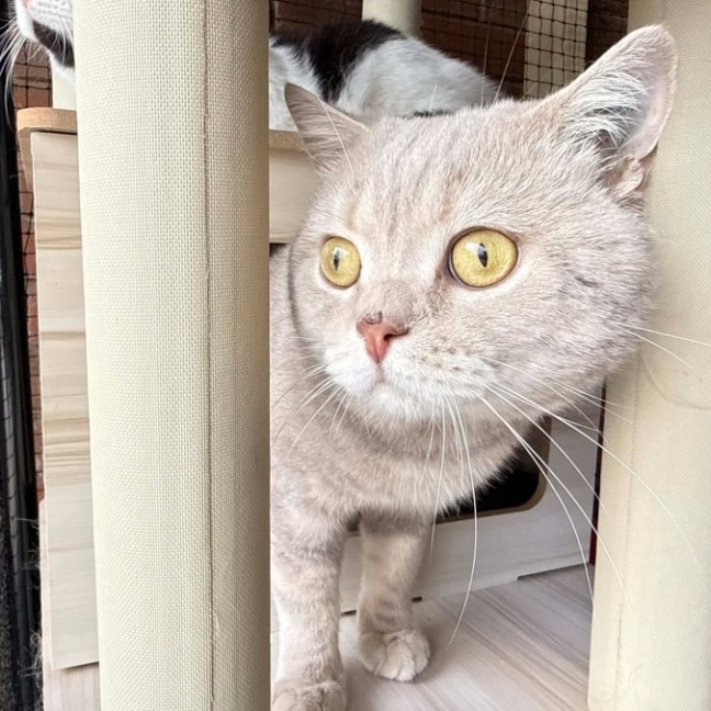 Photo of Professor Chaos