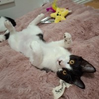 Photo of Rocky Road