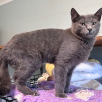 Photo of Seamus 🌈 