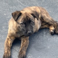 Photo of Betty 🎾🌹