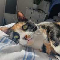 Photo of Lily