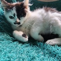 Photo of Matilda 