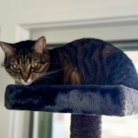 Photo of 🔶 Jorgi 🔶