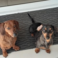 Photo of D1025 Bolts 