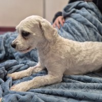 Photo of Taco