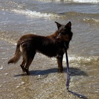 Photo of Gus