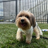 Photo of Mimi