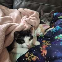 Photo of 🧡 Cinnamon 🤍