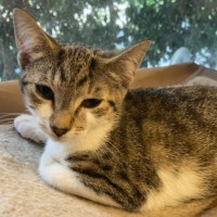 Photo of Rosie
