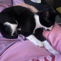 Photo of James Bond 💜