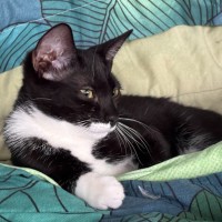 Photo of Minnie
