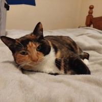 Photo of Harmony